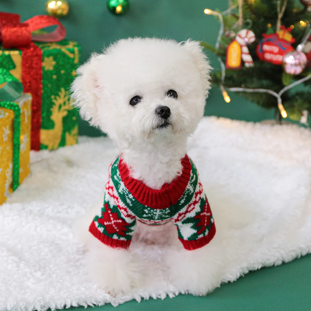 Cute Christmas Rudolph Pet Sweater – Warm Autumn/Winter Knit for Dogs & Cats